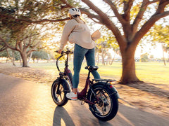 Heybike RANGER S Electric Bike - Top Speed 30 MPH