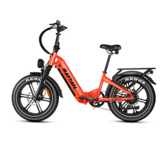 Rattan Pinus Fat Tire 750W Electric Bike