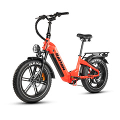 Rattan Pinus Fat Tire 750W Electric Bike