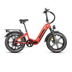 Rattan Pinus Fat Tire 750W Electric Bike