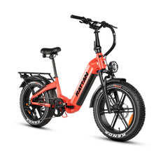 Rattan Pinus Fat Tire 750W Electric Bike