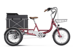 Letrigo Robin Cargo Electric Bike
