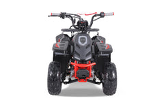 Tao Motor Rock 110 Youth ATV