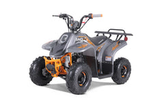 Tao Motor Rock 110 Youth ATV