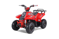 Tao Motor Rock 110 Youth ATV