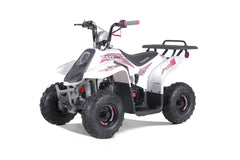 Tao Motor Rock 110 Youth ATV