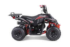 Tao Motor Rock 110 Youth ATV
