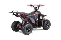 Tao Motor Rock 110 Youth ATV