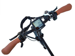 Bagi Bike B10 Street ST Plus Electric Bike