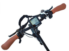 Bagi Bike B20 Street TRX Plus Folding Electric Bike