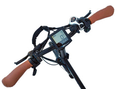 Bagi Bike B20 Street TRX Plus Folding Electric Bike