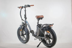 Bagi Bike B10 Bold Plus Electric Bike