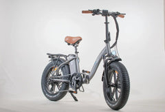 Bagi Bike B10 Bold Plus Electric Bike