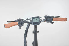 Bagi Bike B10 Bold Plus Electric Bike