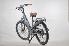 Bagi Bike B27 Trail ST Electric Bike