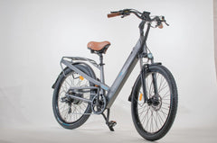 Bagi Bike B27 Trail ST Electric Bike