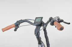 Bagi Bike B27 Trail ST Electric Bike