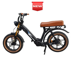 Bagi Bike B24 Tiger - UL Standard Certificate Electric Bike