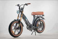 Bagi Bike B24 Tiger - UL Standard Certificate Electric Bike