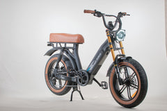 Bagi Bike B24 Tiger - UL Standard Certificate Electric Bike