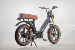 Bagi Bike B24 Tiger - UL Standard Certificate Electric Bike