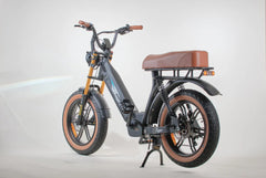 Bagi Bike B24 Tiger - UL Standard Certificate Electric Bike