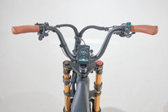 Bagi Bike B24 Tiger - UL Standard Certificate Electric Bike