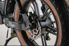 Bagi Bike B24 Tiger - UL Standard Certificate Electric Bike