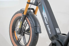 Bagi Bike B24 Tiger - UL Standard Certificate Electric Bike