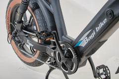Bagi Bike B24 Tiger - UL Standard Certificate Electric Bike