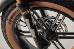 Bagi Bike B24 Tiger - UL Standard Certificate Electric Bike