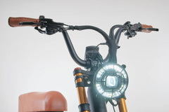 Bagi Bike B24 Tiger - UL Standard Certificate Electric Bike