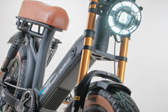 Bagi Bike B24 Tiger - UL Standard Certificate Electric Bike