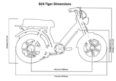 Bagi Bike B24 Tiger - UL Standard Certificate Electric Bike