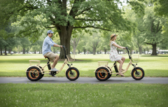 Six Three Zero EZ Transit 20" Fat Tire Electric Trike with Rear Motor