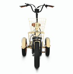 Six Three Zero EZ Transit 20" Fat Tire Electric Trike with Rear Motor