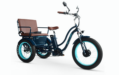 Six Three Zero EVRYjourney Electric Tricycle Rickshaw