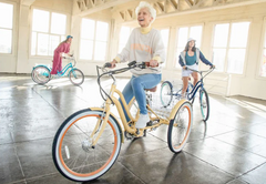Six Three Zero EVRYJourney 250w Electric Tricycle