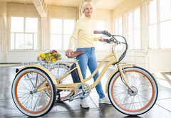 Six Three Zero EVRYJourney 250w Electric Tricycle