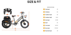 ZEUS 3 Wheel Fat Tire Electric Trike by DW Meigi