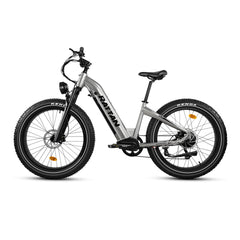 Rattan Sequoia Fat Tire 750W Electric Bike