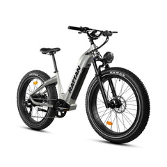 Rattan Sequoia Fat Tire 750W Electric Bike