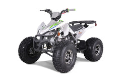 Tao Motor Cheetah Platinum ATC - Youth Sports Model 120cc