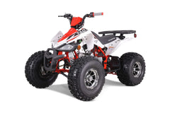 Tao Motor Cheetah Platinum ATC - Youth Sports Model 120cc