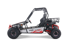 Tao Motor Baja Sport 200 Adult Go-Kart - Large-Sized Go Kart 170cc