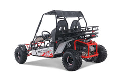 Tao Motor Baja Sport 200 Adult Go-Kart - Large-Sized Go Kart 170cc