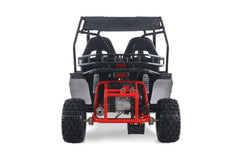 Tao Motor Baja Sport 200 Adult Go-Kart - Large-Sized Go Kart 170cc