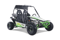 Tao Motor Baja Sport 200 Adult Go-Kart - Large-Sized Go Kart 170cc