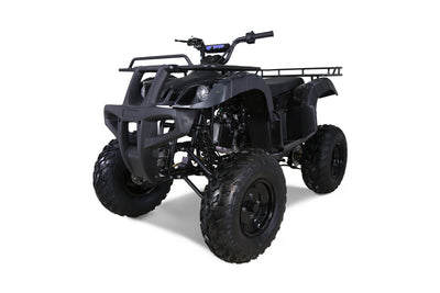 Tao Motor Bull 150 ATV