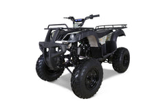 Tao Motor Bull 150 ATV